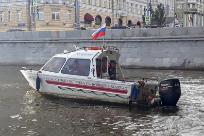 Спасатели вытащили из воды тонущую в реке собаку 